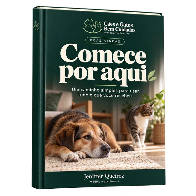 Guia Comece por Aqui