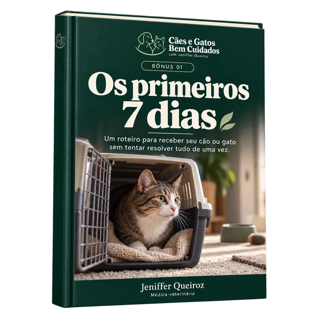 Capa de Os Primeiros 7 Dias