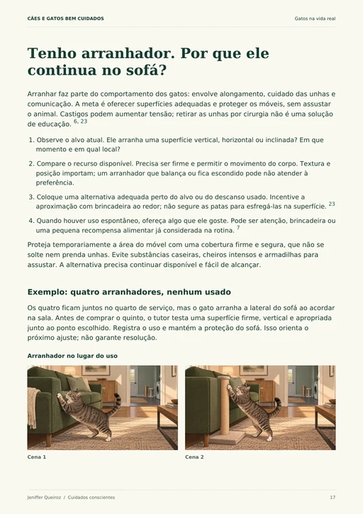 Página 17 do guia Gatos na Vida Real: observação e ajustes para arranhadores